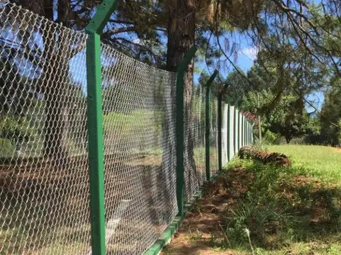Camino vecinal