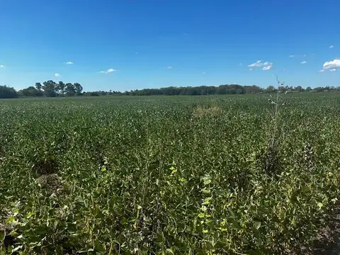 Campo histórico en venta, 34 hectáreas. Ruta 3, Cañuelas.