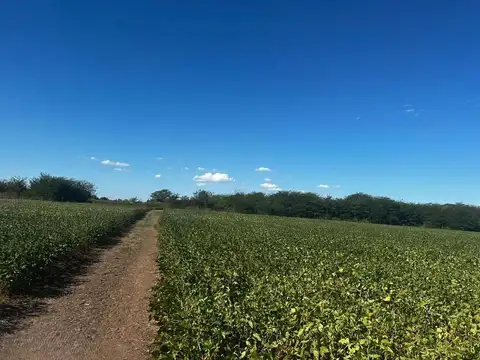 Campo histórico en venta, 34 hectáreas. Ruta 3, Cañuelas.
