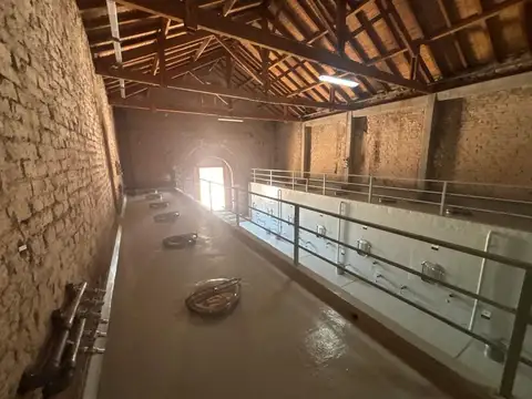 Ejército Libertador 300