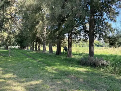 Campo 13ha frente autopista
