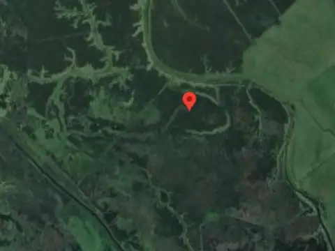 Campo en venta - 307 Hectáreas - Baradero