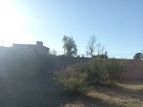 José Hernández 100