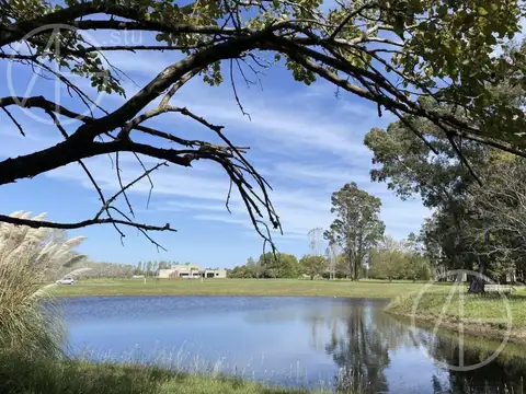 Gran lote en venta, chacra de 4 hectáreas en Estancia La Macarena, apto crédito