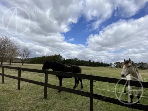 Terreno en Venta de 41000,0 m2