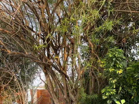 Casa en Venta al Oeste