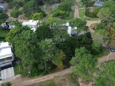 ALAMEDA 209 CORTADA Y CALLE 307