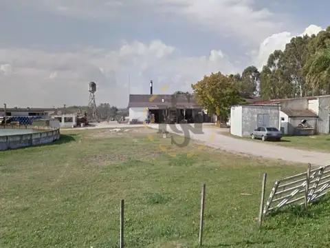 RUTA 102 100