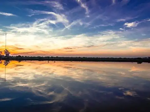 Terreno en Venta de 1000,0 m2