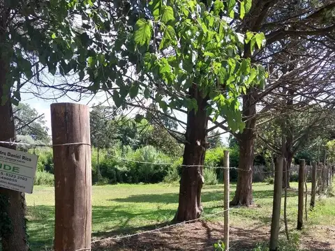 TERRENO EN LEZICA Y TORREZURI