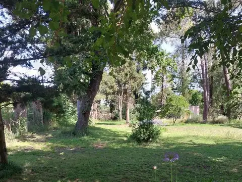 Terreno en Venta de 1200,0 m2