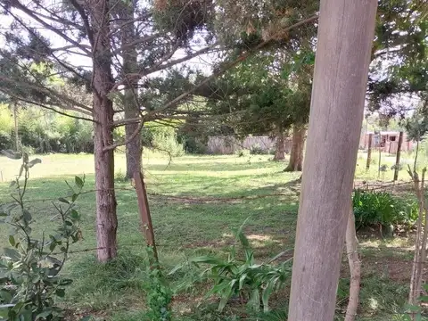 TERRENO EN LEZICA Y TORREZURI