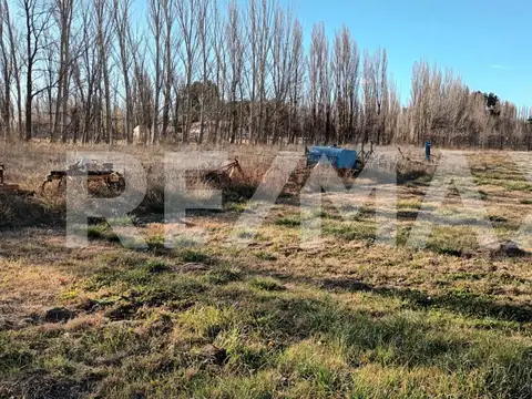 Terreno en Alquiler en Centenario, Confluencia