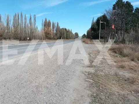 Terreno en Alquiler de 1400,0 m2