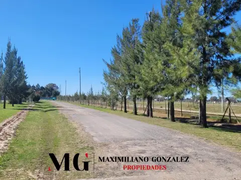 Lote venta Santo Domingo