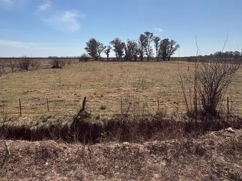Terreno en Venta de 2490,0 m2