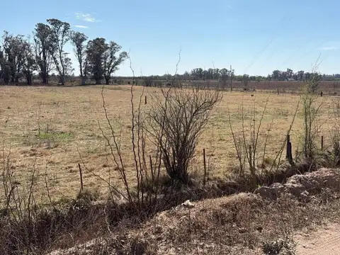 Venta de lotes en cruz alta - córdoba