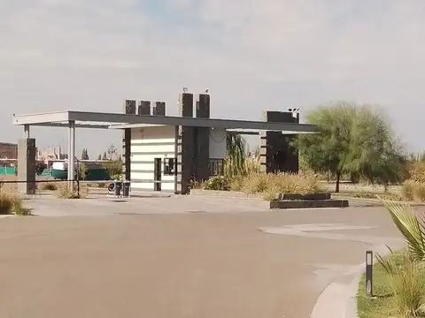 Corvalan sin n°, Junín, Mendoza,