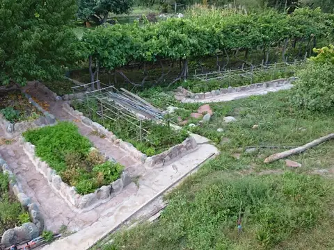 Campo - Chilecito