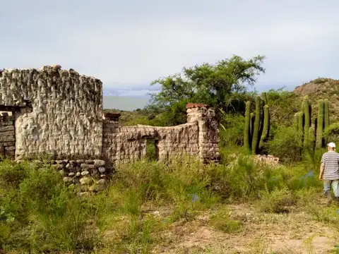 Campo - Chilecito