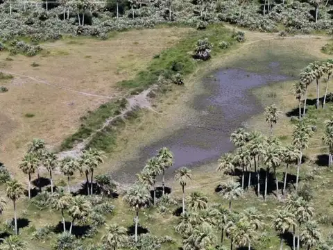 Campo en venta 6624 has en Santa Fe