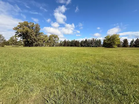 Terreno Lote  en Venta en Pinares CC, Exaltación de la Cruz, G.B.A. Zona Norte