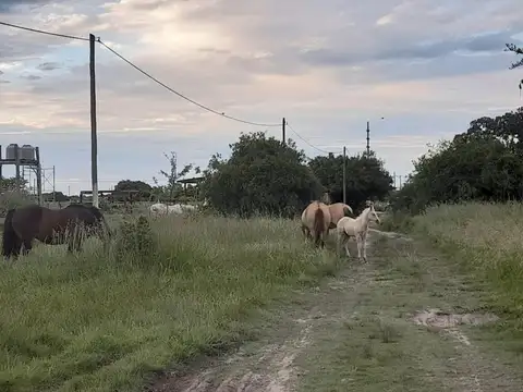 Punta Indio. Zona en Crecimiento. Ruta 11