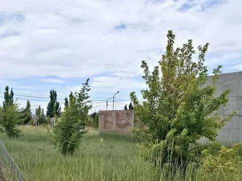 Fernandez Oro entre Iguazú y Cerros Azules