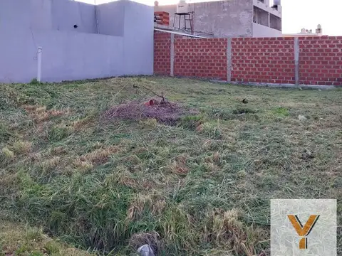 Casa Multifamiliar en venta - 2 Dormitorios 2 Baños - 351Mts2 - Lisandro Olmos