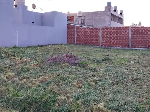 Casa Multifamiliar en venta - 2 Dormitorios 2 Baños - 351Mts2 - Lisandro Olmos