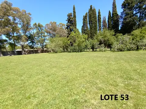 Terreno en Venta 32  mts Fondo