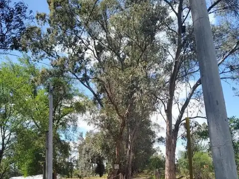 JNS UNICO TERRENO 48000m2 Matheu