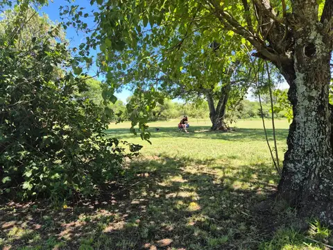 Terreno en venta en Barrio San Andres a 3,5 km del acceso de Colonia Benitez