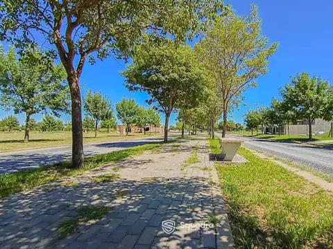 VENTA DE TERRENO EN QUEBRADAS DE ANDINO