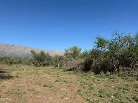 Terreno en Venta de 1,0 m2