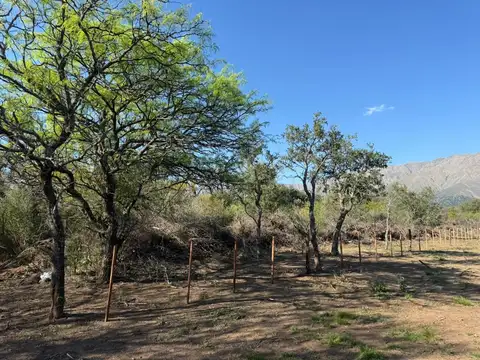 Terreno en Venta de 1,0 m2