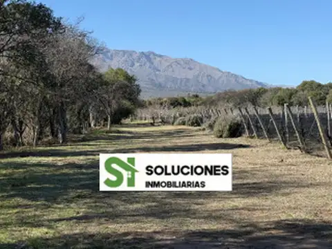 Terreno en venta en Cruz De Caña