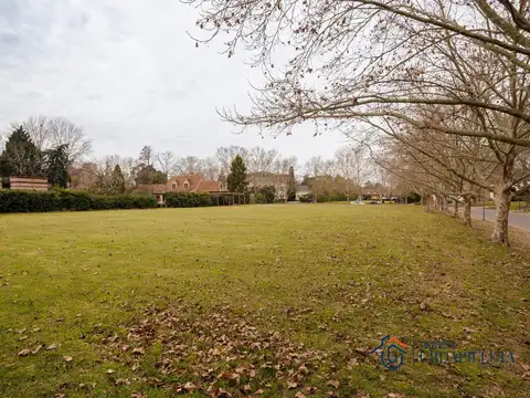 Terreno en Venta 50  mts Fondo