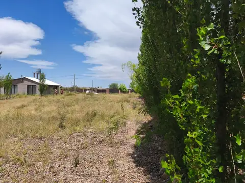 Terreno en Venta de 1000,0 m2