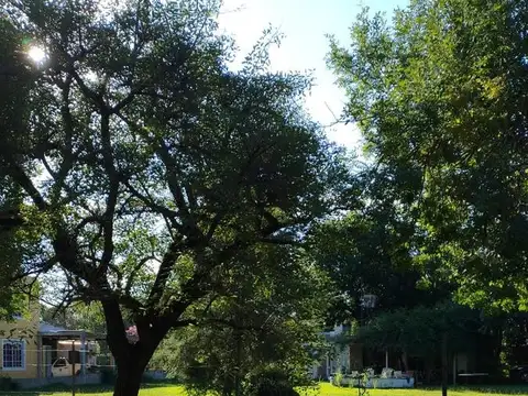 Terreno en Venta de 1200,0 m2