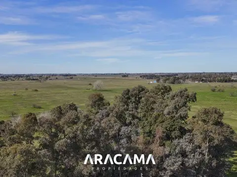 Terreno en Venta de 980000,0 m2