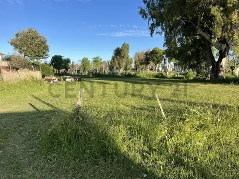 Terreno en Venta de 343,0 m2