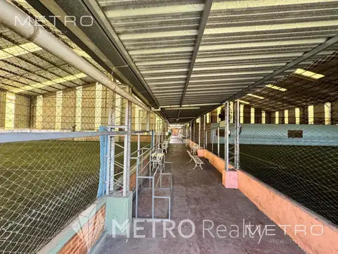 Galpon en Alquiler en Florencio Varela, USD 8.000