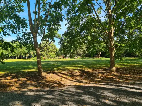 Bv. Doctor Domingo Cabred 1550