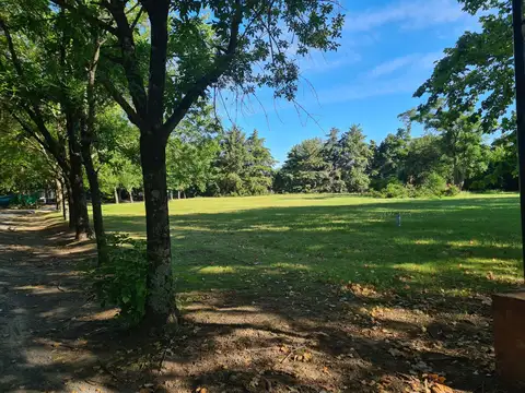 Bv. Doctor Domingo Cabred 1550