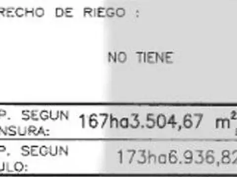 Terreno en Venta en Lujan de Cuyo, USD 3.400.000