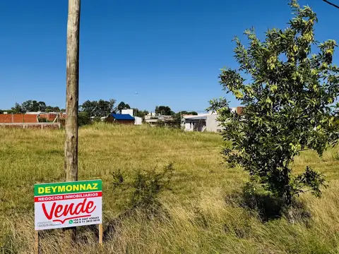 Terreno en Venta 10  mts Frente