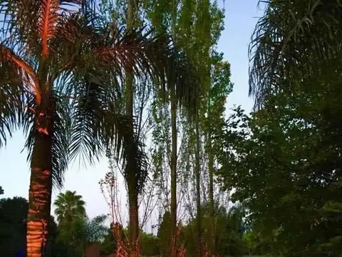 Casa en Alquiler con 10 cocheras