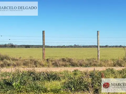 Terreno en Venta de 90000,0 m2