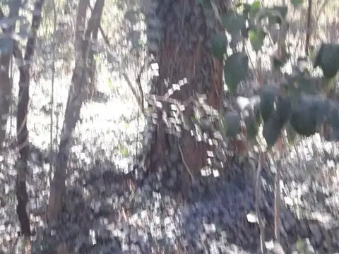 Terreno en Venta en Nono, USD 34.000